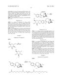 COMPOSITIONS COMPRISING NORIBOGAINE AND AN EXCIPIENT TO FACILITATE     TRANSPORT ACROSS THE BLOOD BRAIN BARRIER diagram and image