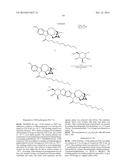 COMPOSITIONS COMPRISING NORIBOGAINE AND AN EXCIPIENT TO FACILITATE     TRANSPORT ACROSS THE BLOOD BRAIN BARRIER diagram and image