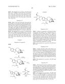 COMPOSITIONS COMPRISING NORIBOGAINE AND AN EXCIPIENT TO FACILITATE     TRANSPORT ACROSS THE BLOOD BRAIN BARRIER diagram and image