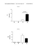 COMPOSITION COMPRISING A GLUCOCORTICOID AND A THIAZOLIDINEDIONE FOR     INDUCING COMPELTE ADIPOGENIC DIFFERENTIATION OF MAMMALIAN STEM CELLS diagram and image