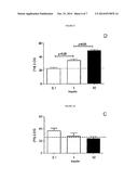 COMPOSITION COMPRISING A GLUCOCORTICOID AND A THIAZOLIDINEDIONE FOR     INDUCING COMPELTE ADIPOGENIC DIFFERENTIATION OF MAMMALIAN STEM CELLS diagram and image