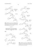 BETA-LACTAMASE INHIBITORS diagram and image