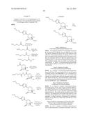 BETA-LACTAMASE INHIBITORS diagram and image