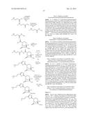 BETA-LACTAMASE INHIBITORS diagram and image