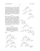 BETA-LACTAMASE INHIBITORS diagram and image