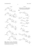 BETA-LACTAMASE INHIBITORS diagram and image