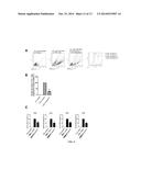 TREATMENT OF CANCER WITH DIHYDROPYRAZINO-PYRAZINES diagram and image