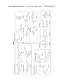 HSP90 COMBINATION THERAPY diagram and image