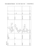 HSP90 COMBINATION THERAPY diagram and image