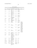 HSP90 COMBINATION THERAPY diagram and image