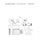 HSP90 COMBINATION THERAPY diagram and image