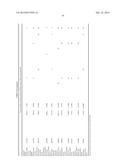 HSP90 COMBINATION THERAPY diagram and image