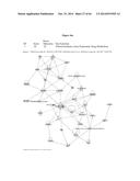 HSP90 COMBINATION THERAPY diagram and image