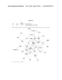 HSP90 COMBINATION THERAPY diagram and image