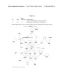 HSP90 COMBINATION THERAPY diagram and image