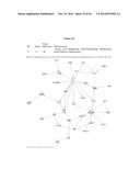 HSP90 COMBINATION THERAPY diagram and image