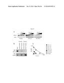 HSP90 COMBINATION THERAPY diagram and image