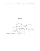 HSP90 COMBINATION THERAPY diagram and image