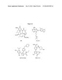 HSP90 COMBINATION THERAPY diagram and image