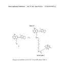 HSP90 COMBINATION THERAPY diagram and image