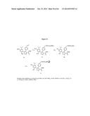 HSP90 COMBINATION THERAPY diagram and image