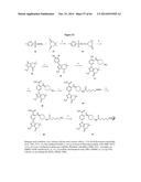 HSP90 COMBINATION THERAPY diagram and image