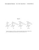 HSP90 COMBINATION THERAPY diagram and image