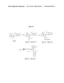 HSP90 COMBINATION THERAPY diagram and image