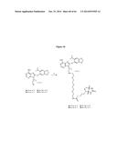 HSP90 COMBINATION THERAPY diagram and image