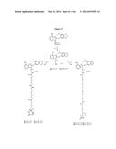 HSP90 COMBINATION THERAPY diagram and image