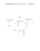 HSP90 COMBINATION THERAPY diagram and image