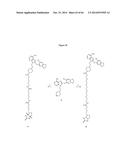 HSP90 COMBINATION THERAPY diagram and image