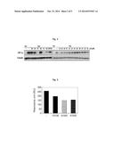 PHARMACEUTICAL COMPOSITION WITH ENHANCED EFFICACY FOR INHIBITING     ANGIOGENESIS diagram and image