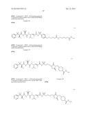 CYTOTOXIC AND ANTI-MITOTIC COMPOUNDS, AND METHODS OF USING THE SAME diagram and image