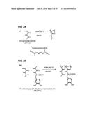 STIMULI RESPONSIVE ADHESIVE GEL FOR REMOVAL OF FOREIGN PARTICLES FROM SOFT     TISSUE diagram and image