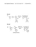 STIMULI RESPONSIVE ADHESIVE GEL FOR REMOVAL OF FOREIGN PARTICLES FROM SOFT     TISSUE diagram and image