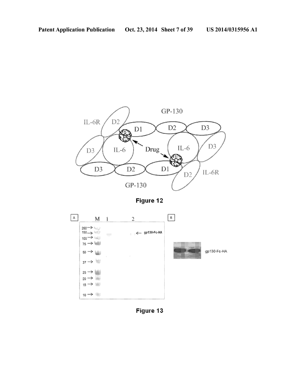 SMALL MOLECULE INHIBITORS OF IL-6 AND USES THEREOF - diagram, schematic, and image 08