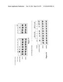 SMALL MOLECULE INHIBITORS OF IL-6 AND USES THEREOF diagram and image