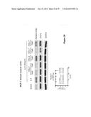 SMALL MOLECULE INHIBITORS OF IL-6 AND USES THEREOF diagram and image