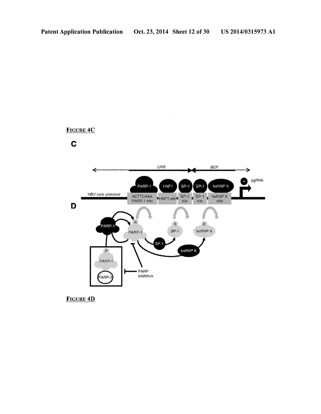 PARP-1 INHIBITORS - diagram, schematic, and image 13