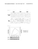 APOPTOSIS-INDUCING AGENT diagram and image