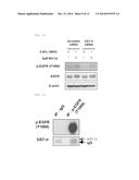 APOPTOSIS-INDUCING AGENT diagram and image