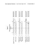 METHODS AND COMPOSITIONS FOR THE SPECIFIC INHIBITION OF MET BY DOUBLE     STRANDED RNA diagram and image