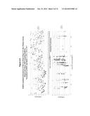 METHODS AND COMPOSITIONS FOR THE SPECIFIC INHIBITION OF MET BY DOUBLE     STRANDED RNA diagram and image