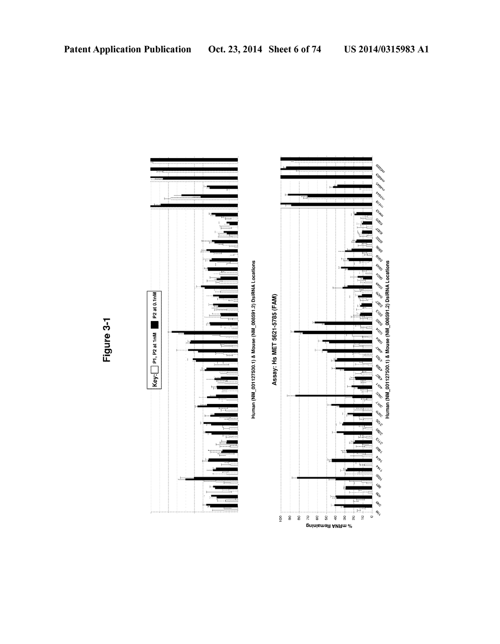 METHODS AND COMPOSITIONS FOR THE SPECIFIC INHIBITION OF MET BY DOUBLE     STRANDED RNA - diagram, schematic, and image 07