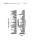 METHODS AND COMPOSITIONS FOR THE SPECIFIC INHIBITION OF MET BY DOUBLE     STRANDED RNA diagram and image