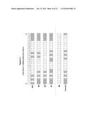 METHODS AND COMPOSITIONS FOR THE SPECIFIC INHIBITION OF MET BY DOUBLE     STRANDED RNA diagram and image