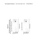 METHODS AND COMPOSITIONS FOR THE SPECIFIC INHIBITION OF MET BY DOUBLE     STRANDED RNA diagram and image