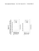 METHODS AND COMPOSITIONS FOR THE SPECIFIC INHIBITION OF MET BY DOUBLE     STRANDED RNA diagram and image