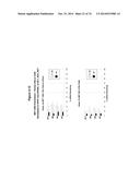 METHODS AND COMPOSITIONS FOR THE SPECIFIC INHIBITION OF MET BY DOUBLE     STRANDED RNA diagram and image